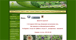 Desktop Screenshot of mikaspb.ru